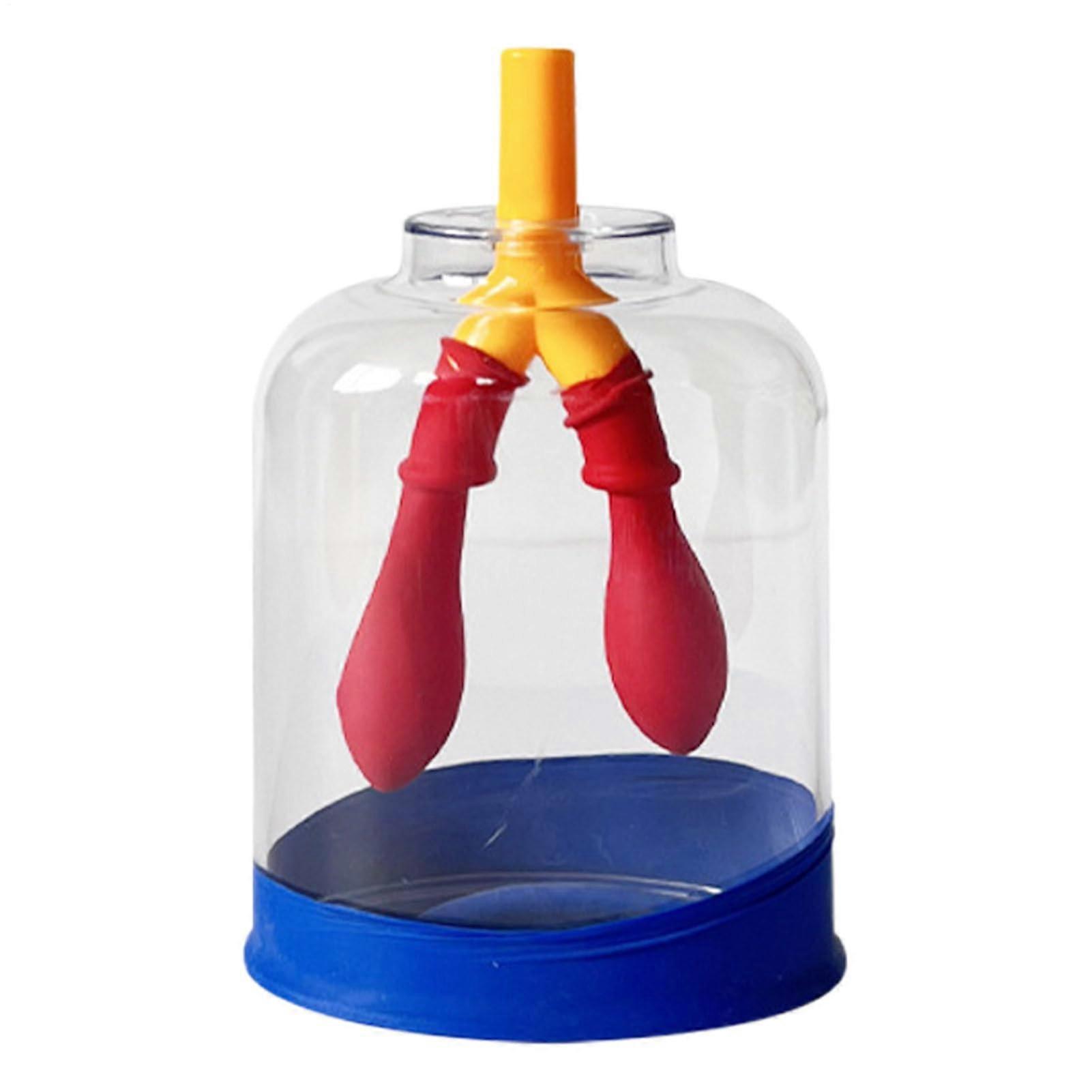 Lung Model Anatomy Teaching Aid For Interactive Breathing Simulation, 11.4 X 7.4 X 5.2 Cm, Scratch-Resistant Structure