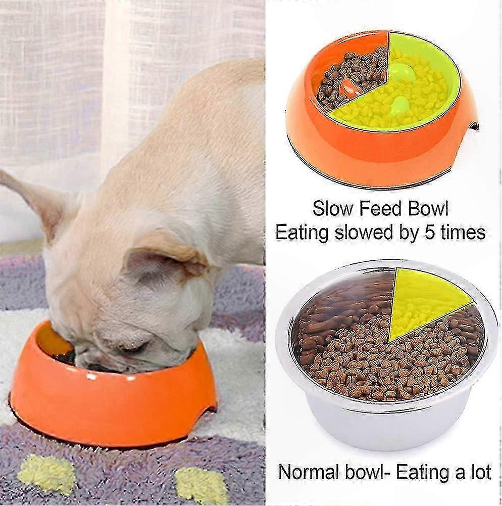 Anti-Gulping Slow Feeder Dog Bowl, Interactive Bloat Prevention Design ... - Overeating Prevention Dog Bowl Design