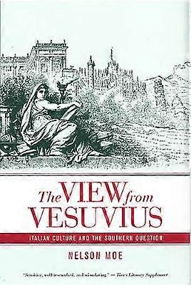 The View from Vesuvius