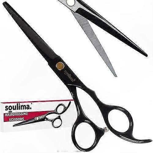 Professional Hairdressing Scissors 21461