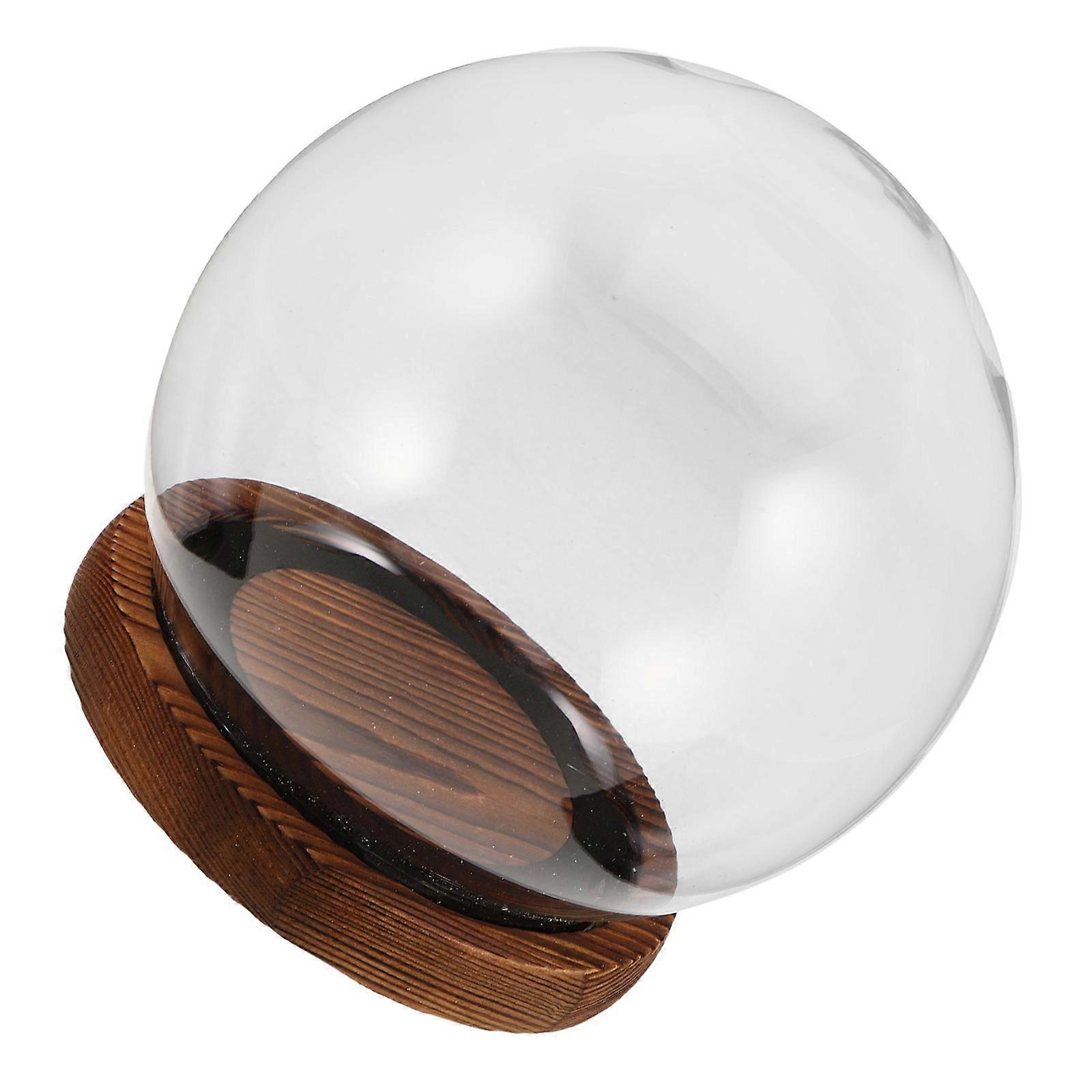 Transparent Glass Dome Cloche with Base for Preservation and Display