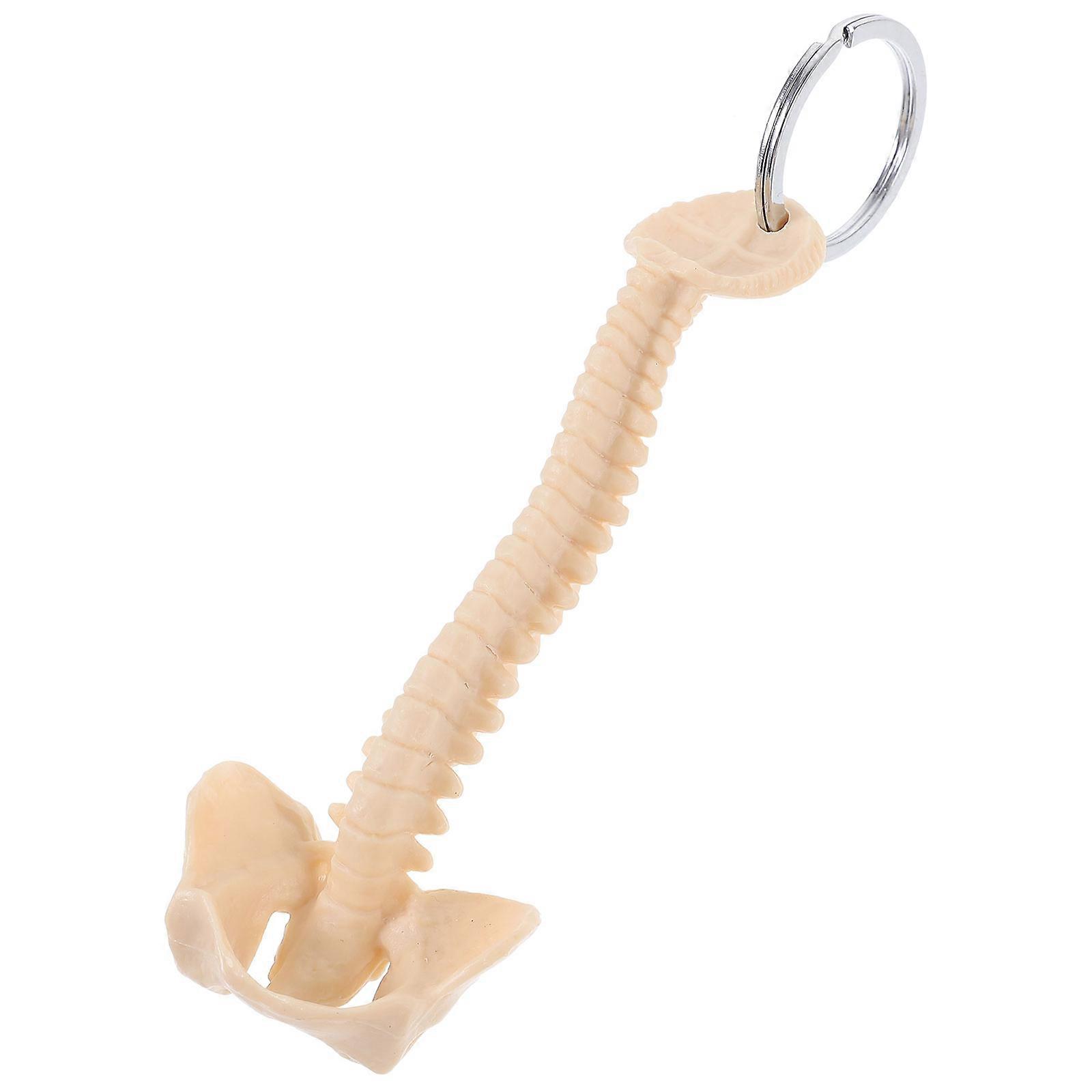 Skeleton Keychain Spine Model Pvc Pendant Keychain Spine Keyring Accessory