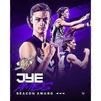 FREMANTLE DOCKERS TEAM PLAYER Stress Reliever Jigsaw Puzzle S1338