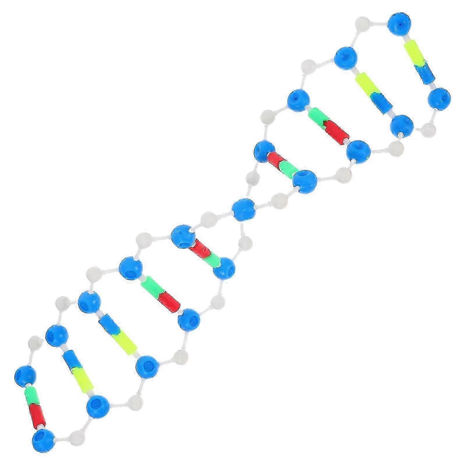 Double Helix Gene Model for Science Classroom Educational Use