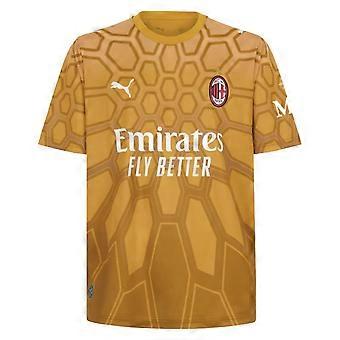 2026-2027 AC Milan Home Goalkeeper Shirt (Gold)