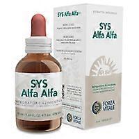 Sys alfa alfa lipid metabolism 50 ml