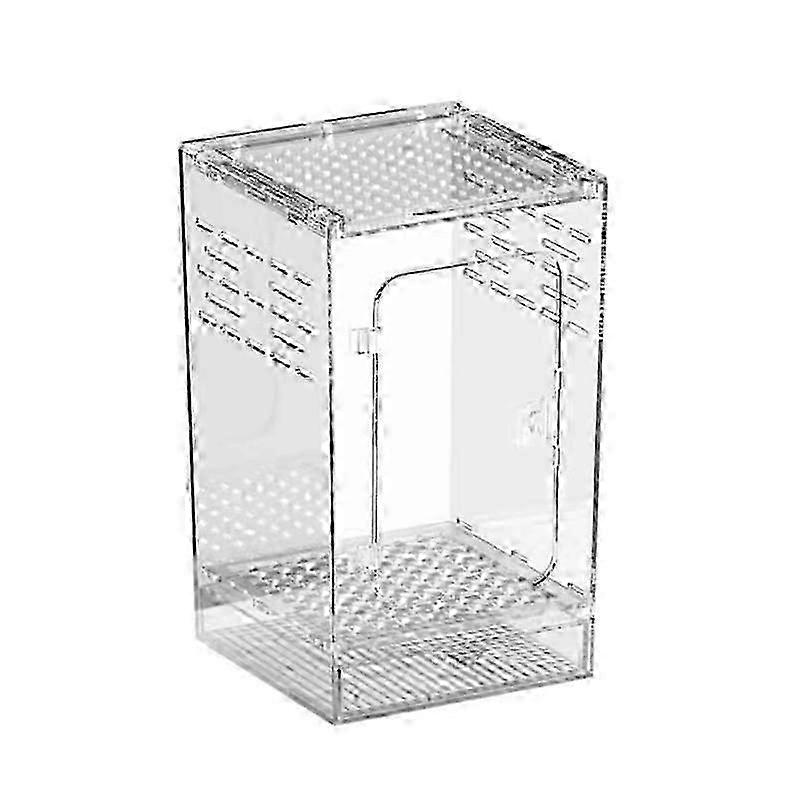 Durable Transparent Arboreal Habitat Box