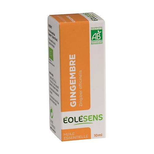 Ginger 10 ml of essential oil