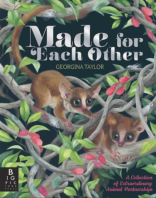 Made For Each Other by Joanna McInerney Hardback Book