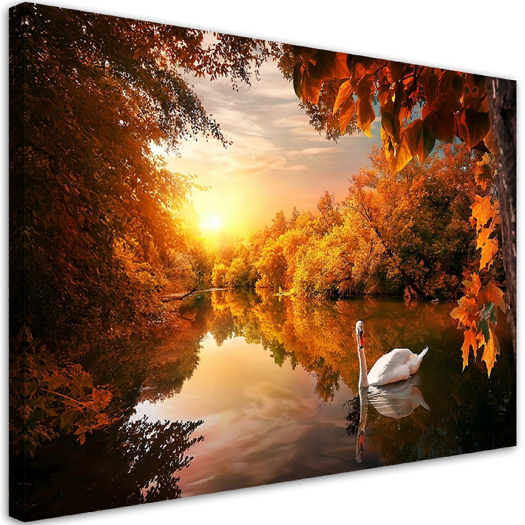 Lienzo, Cisne en un estanque otoño - 60x40