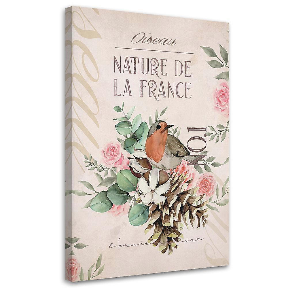 Impression sur toile, Fleur Oiseau Shabby chic - 40x60