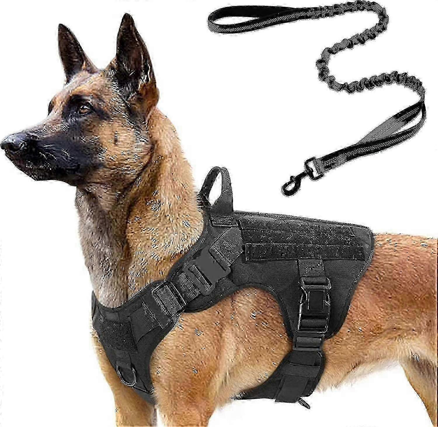 大型中型犬用4フィートバンジーリーシュ付き戦術犬用ハーネス、軍事訓練セット