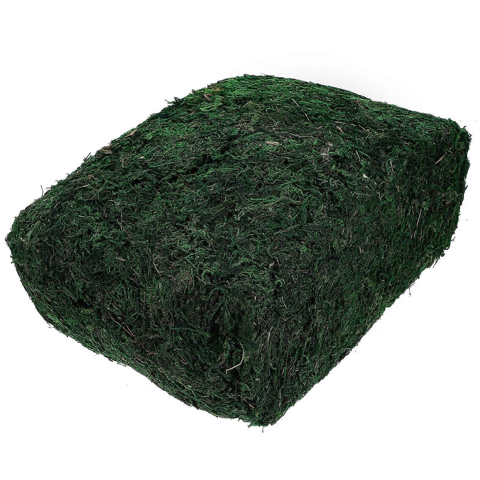 Artificial Moss Micro-Landscape Decor Simulation Moss for Decor 1 Bag