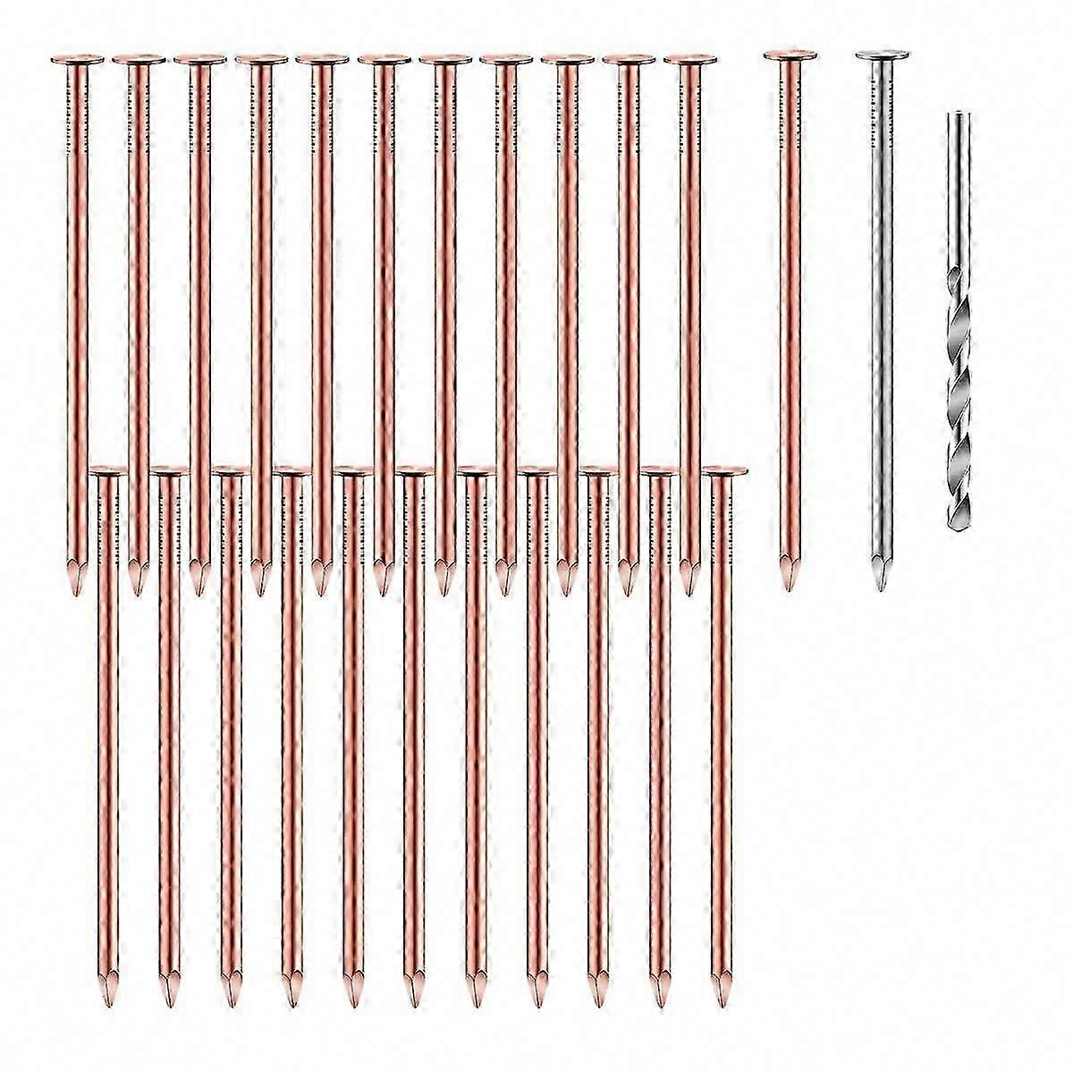 25 Pcs 3.5 Inch Copper Nails for Tree Stump Removal, Pure Copper Spikes Hardware Nails Bulk for Killing Trees