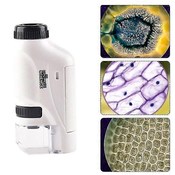 Handheld Mini-Microscope 60-120x with LED Light