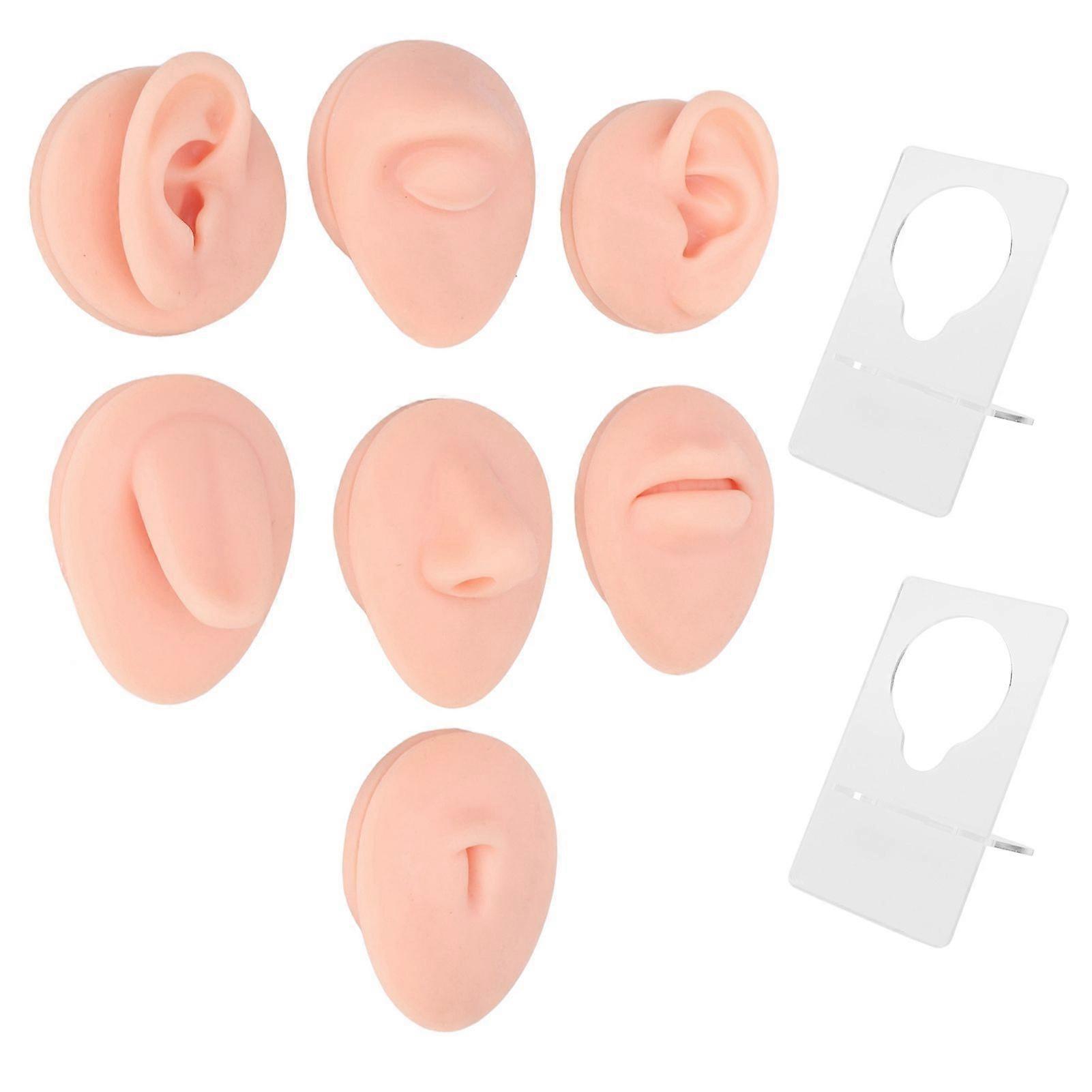 Silicone Body Part Model Soft Silicone Ear Mouth Nose Eye Tongue Navel Model with Display Rack for Teaching Display Practice