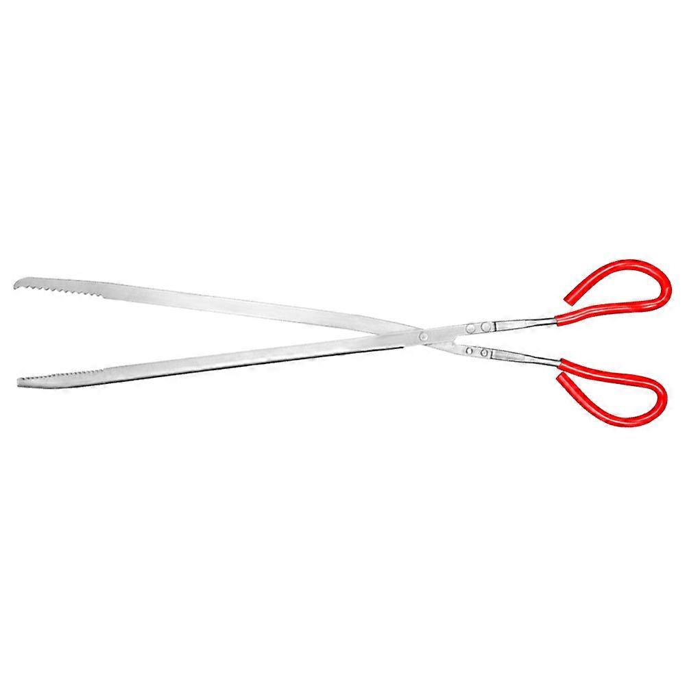 Convenient Eel Clamp Household Tortoise Clamp for Home Use