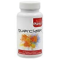 Quercialer 60 capsules