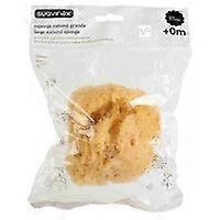 Large Natural Sponge 1 unit