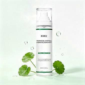 Hydraterende gezichtsspray met panthenol en centella, verzachtende hydraterende spray, gezichtsverzorgingsspray die de huidbarrière versterkt voor de droge huid, 100 ml