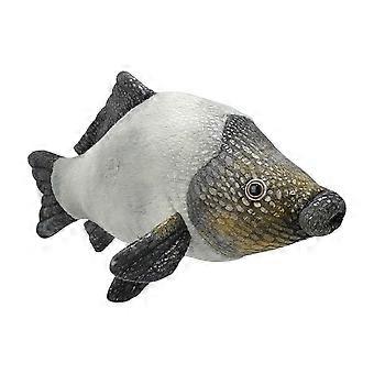Stuffed Carp All About Nature