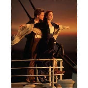 Titanic Jigsaw Puzzle RNB1365