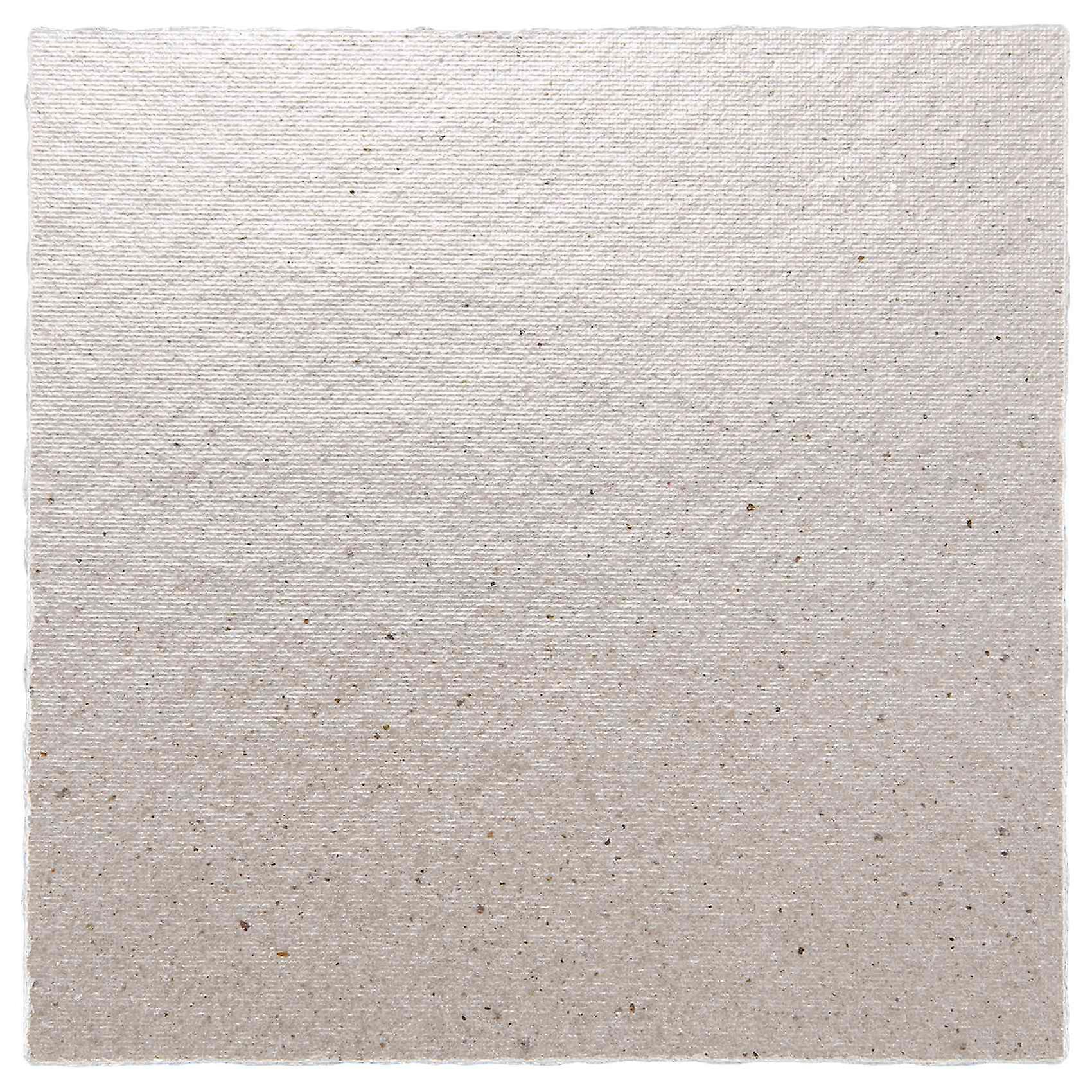 2 x Replacement 12 x 12 cm Plate Mica For