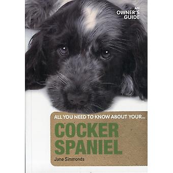 Cocker Spaniel - Jane Simmonds