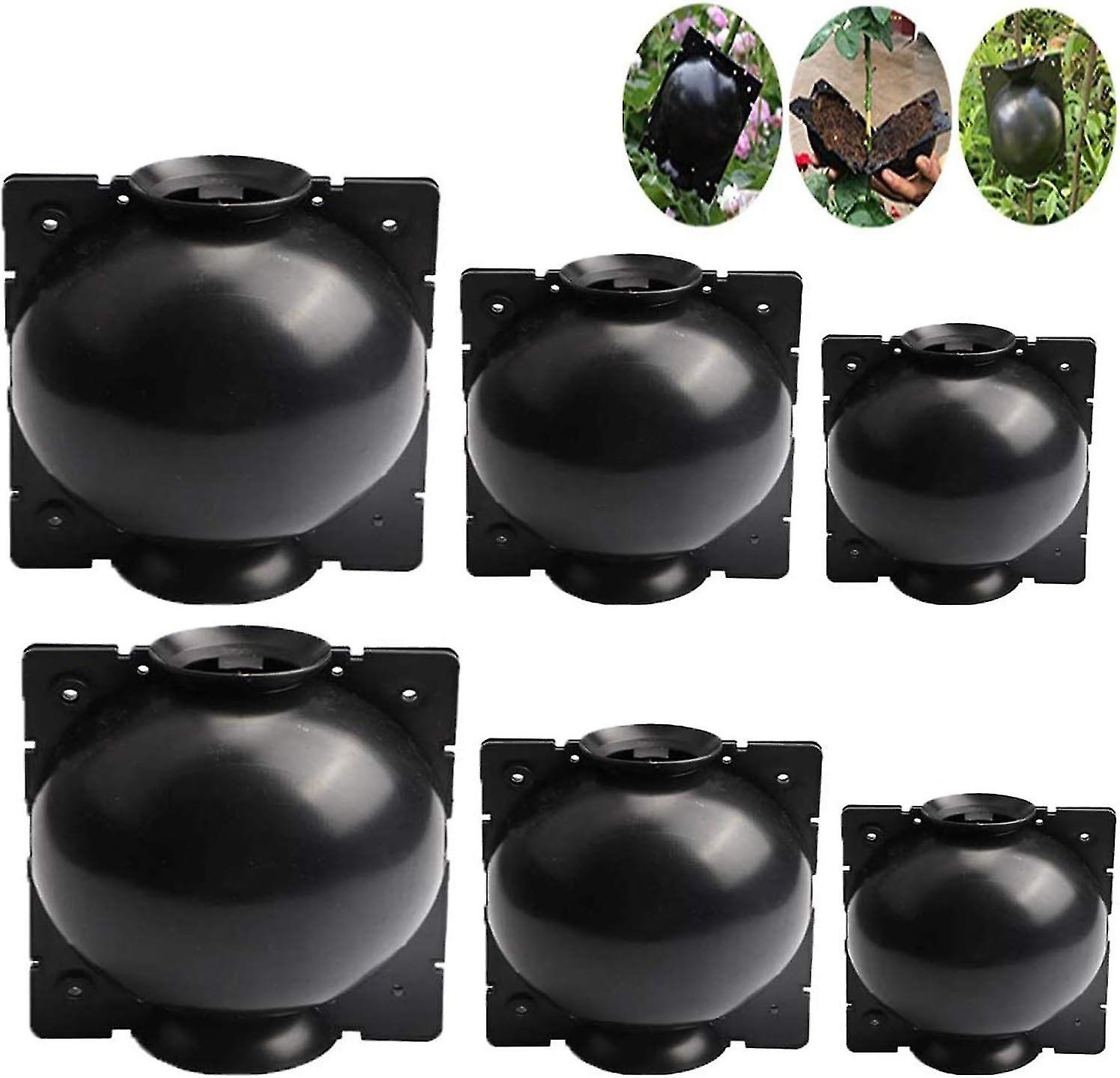 Set mit 6 Hilfs-Schneidepflanzen-Rootern