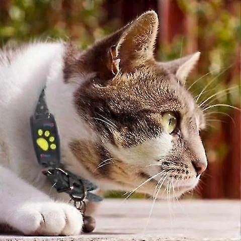 Smart Gps Cat And Dog Collar Tracker