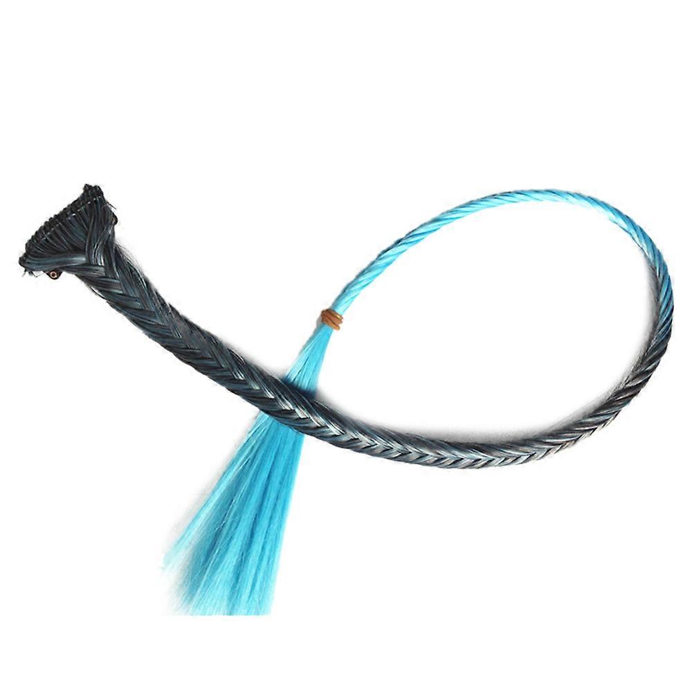 Fish Bone Braid Small Braid Wig Hair Extension