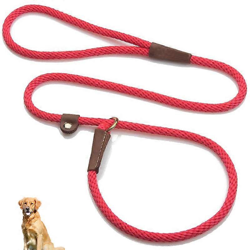 Dog Lead and Collar Combo 1/2 in X 6 ft for Walking Training Durable Nylon Pet Accessory Adjustable Size