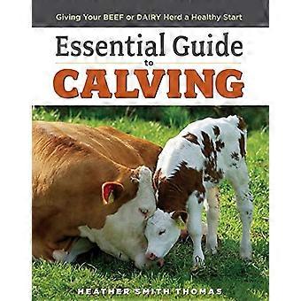 Essential Guide to Calving Giving Your Beef or Dairy Herd a Healthy Start