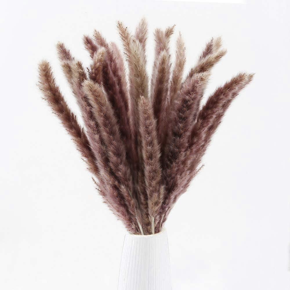 Bohemian Elegance, Natural Dried Pampas Grass For Seasonal Arrangement, Adds Rustic Charm To Any Space, Comfortable Size 17 Inch, Pack Of 30