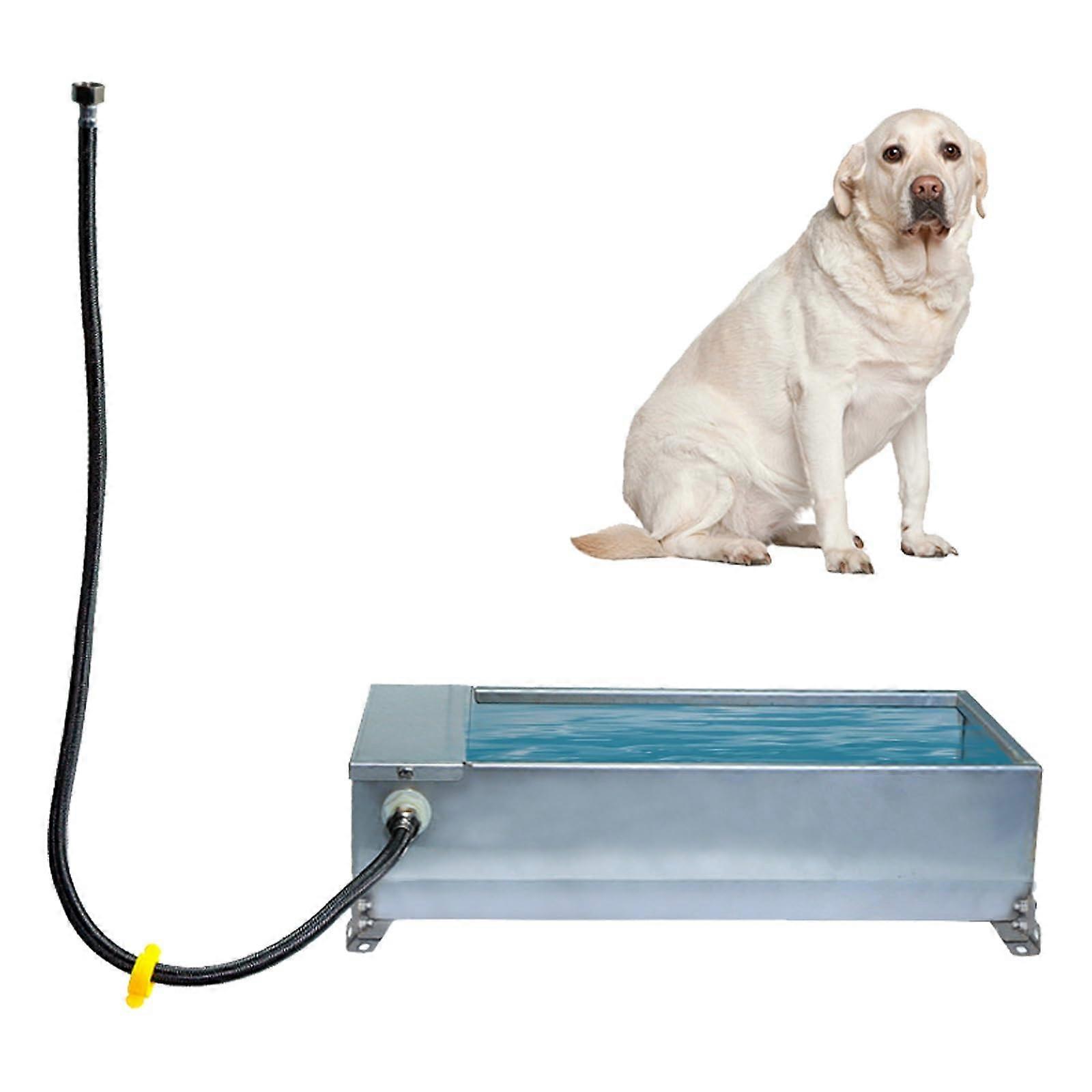 Automatic livestock water trough stainless steel animal drinking tank with float valve selffilling for horses, goats, pigs, dogs, sheep