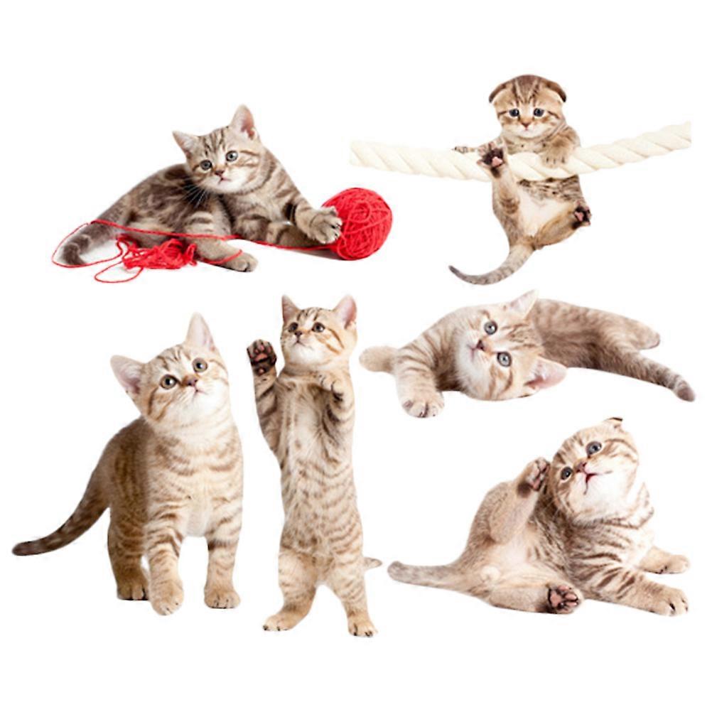 Anti-Collision Window Cling Static Cling for Bird Prevention 1Set Indoor