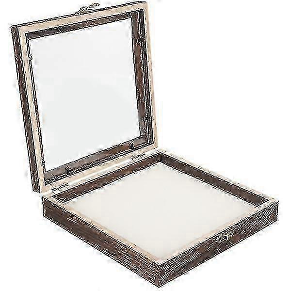 Wooden Insect Specimen Display Case Protective Specimen Storage Box With Eva Pad Tw