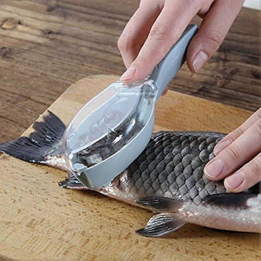 Fish Scaler with Collection Case, Safe NonSharp Edges, Ergonomic Grip for Home Cooking