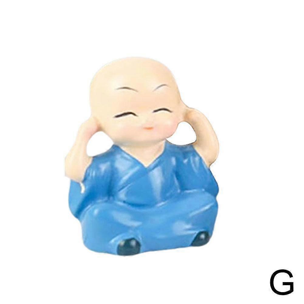 Brazil fa Víztermesztés Lucky Wood cserepes kis fa beltéri hidroponika