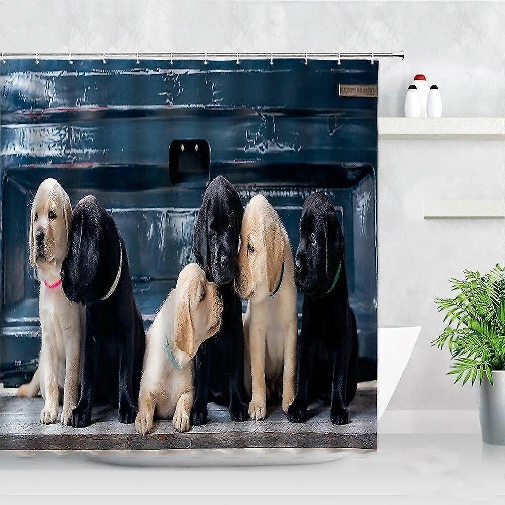 Bathroom Shower Curtain Design Style - 451