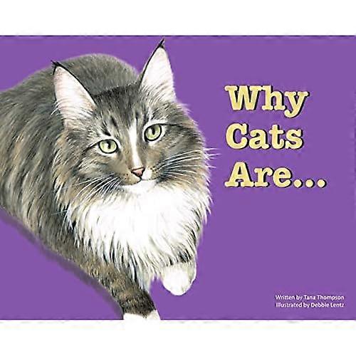 Why Cats Are