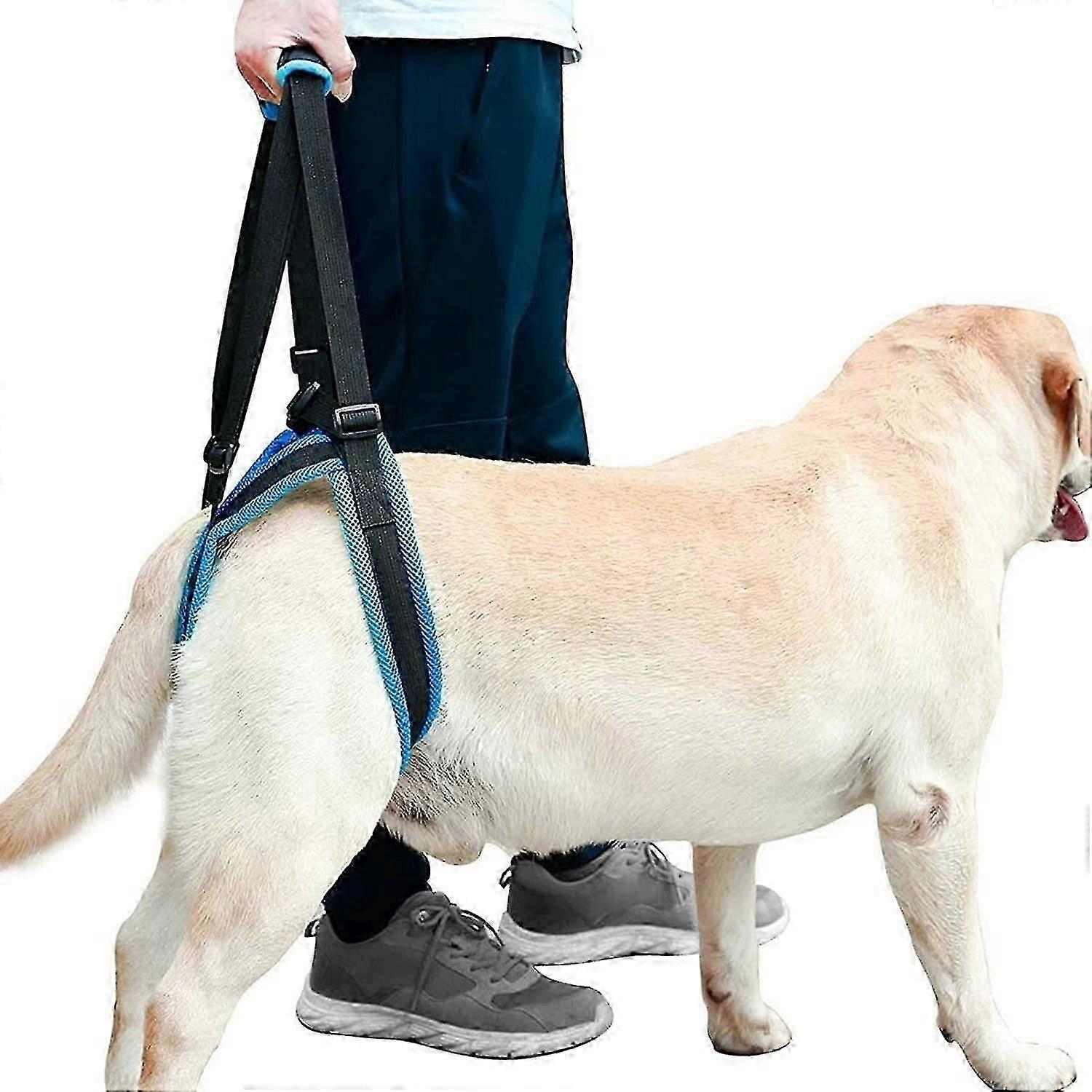 狗狗支撑带,狗手持辅助带,适用于老年犬的康复