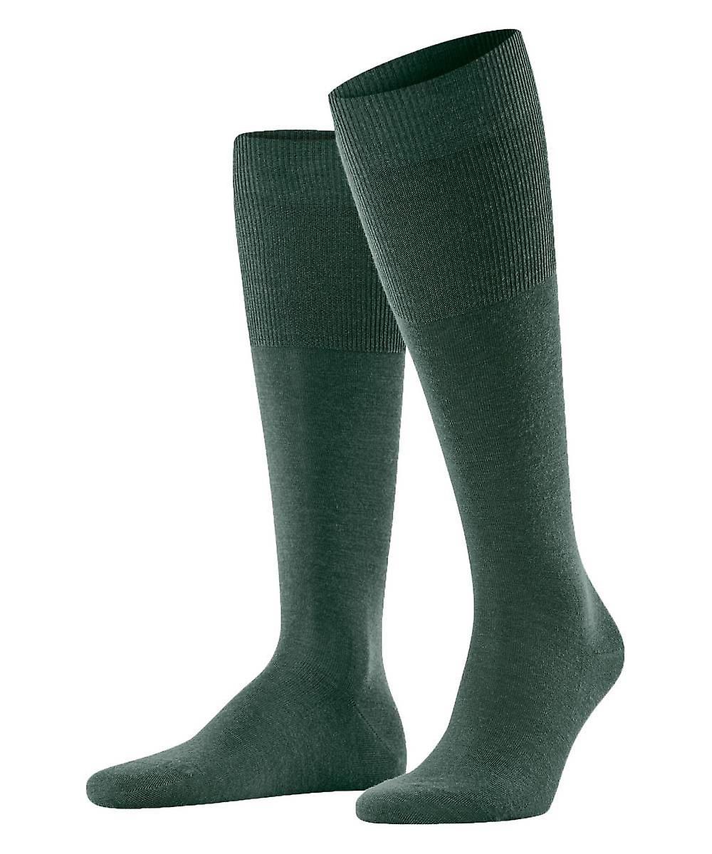 Falke Airport Knee-High Socks - Hunter Green