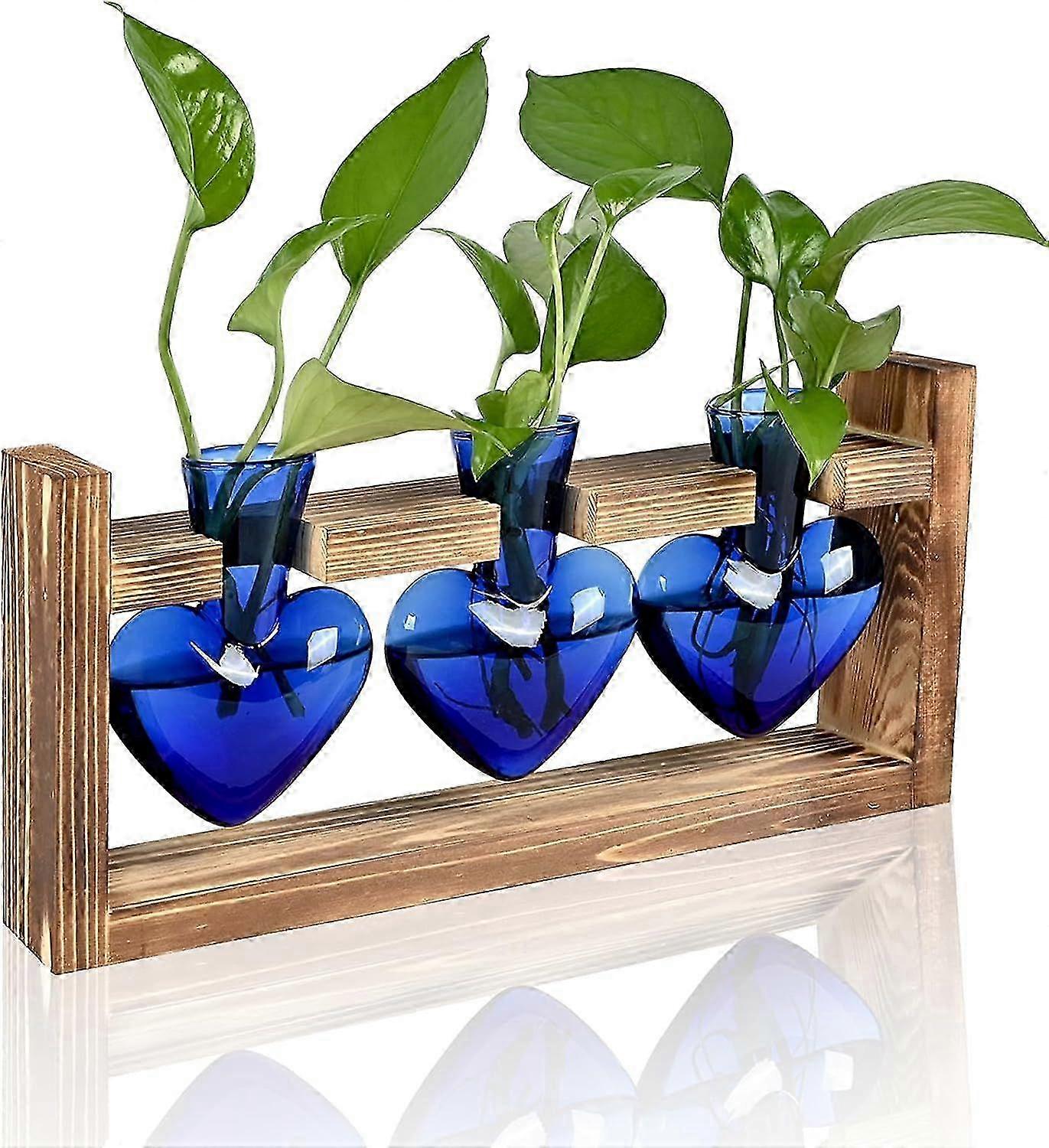 Heart Shaped Plant Propagation Station with Wooden Stand for Hydroponics Office Garden Home Decor Gifts