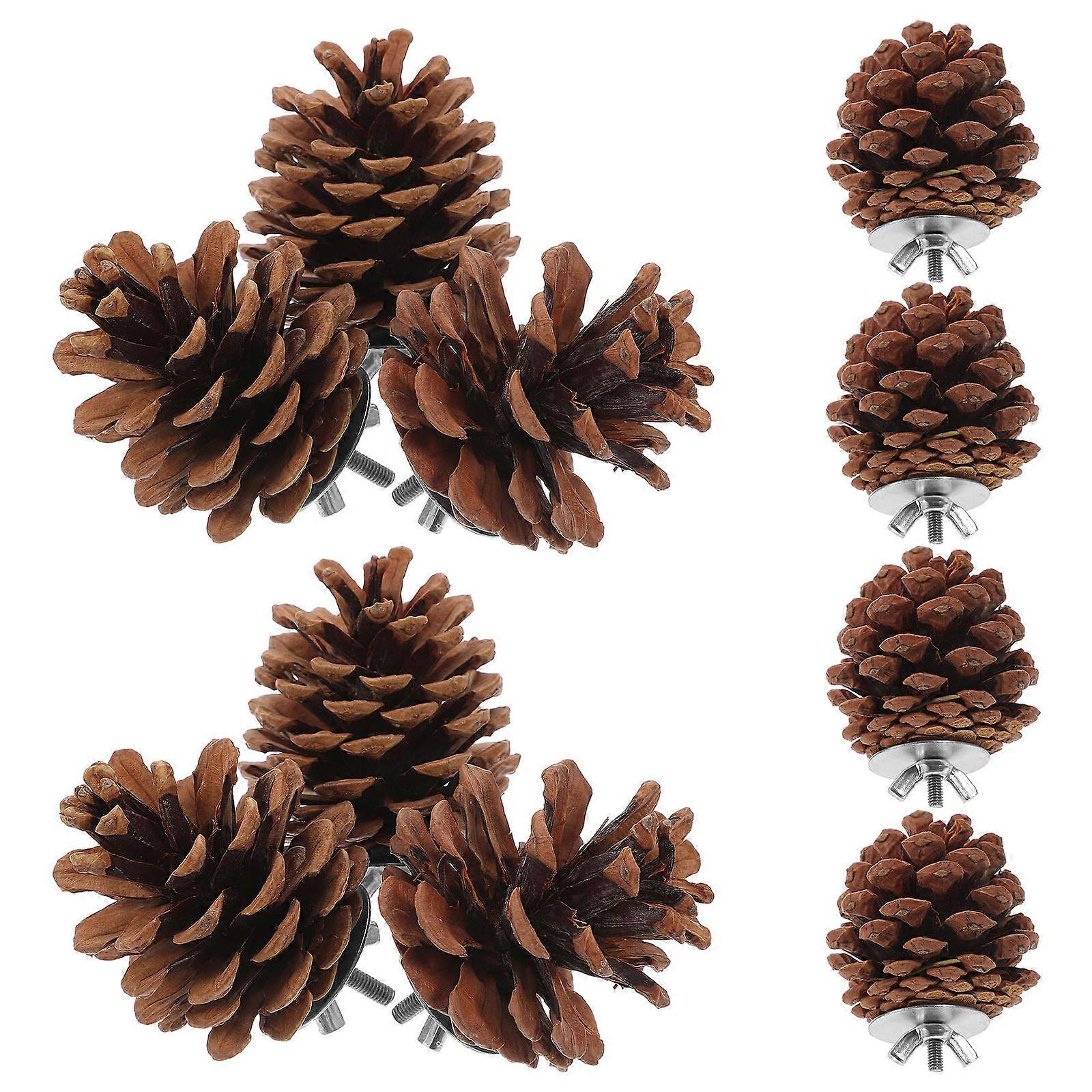 Pine Cone Chewing Toys for Parrots & Birds – 10pcs Funny Hanging Foraging Playthings with Screw Design for Birdcage Decoration – Safe & Attractive
