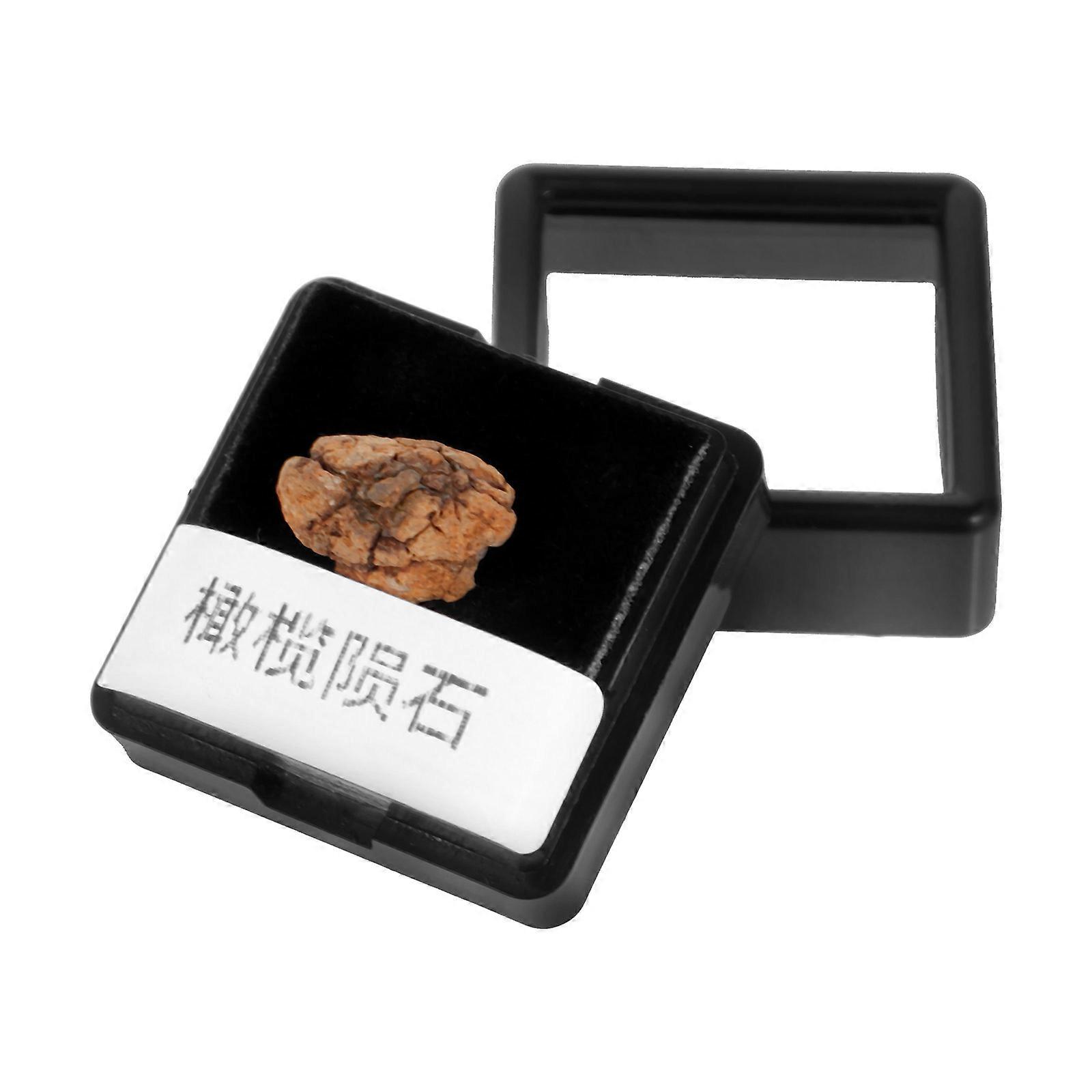 Meteorite Specimen Stone Educational Meteorolite Ornament for Collection 2Pcs