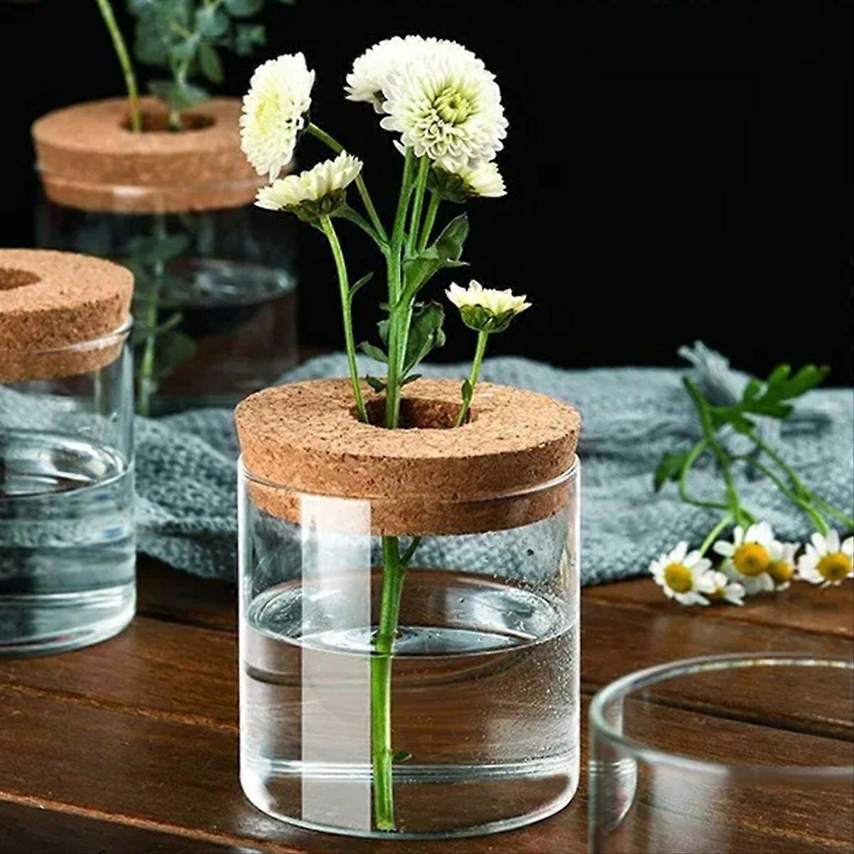 Hydroponic plant bottle Mini hydroponic plant vase