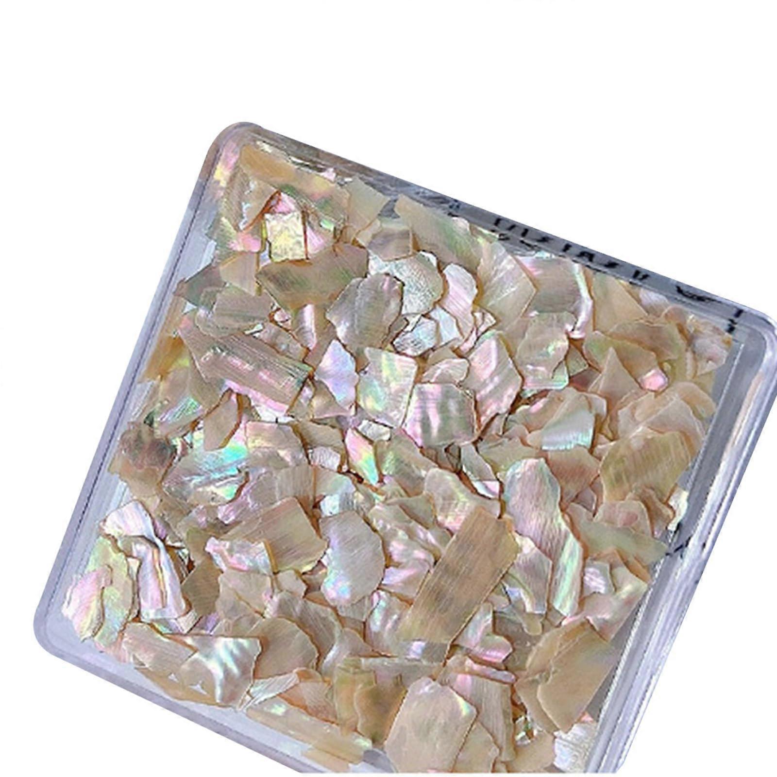 Nail Art Shell Slices 6 Colors Natural Shell Decorations with Irregular Shapes and 3D Effect