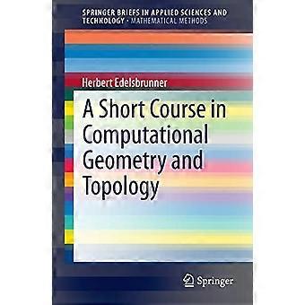 Lyhyt kurssi laskennallinen geometria ja topologia (SpringerBriefs ammattikorkeakouluissa ja teknologiassa / SpringerBriefs matemaattisissa menetelmissä)