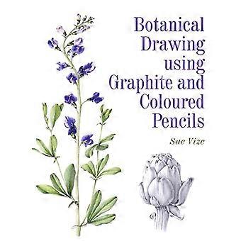 Botanische Zeichnung mit Graphit und Buntstifte